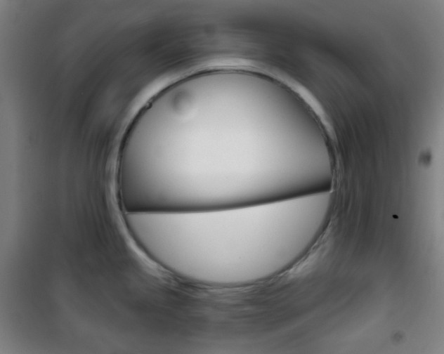 X0000101701245200807101338