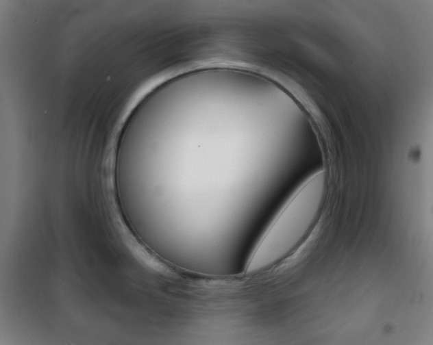 X0000101701246200807101338