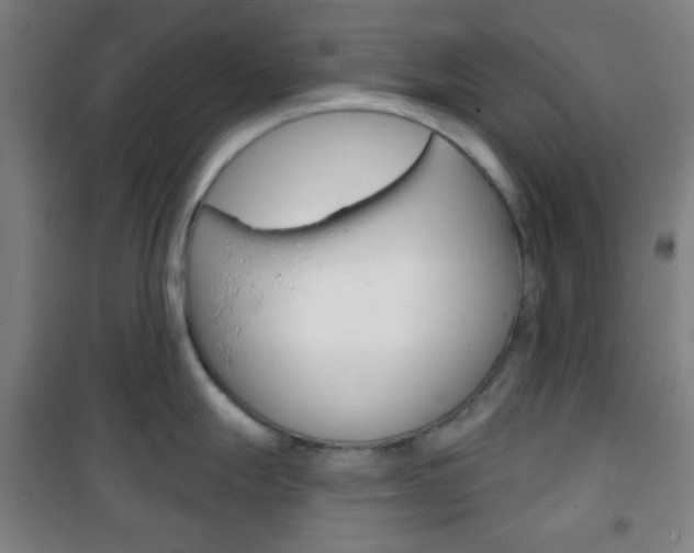X0000101701247200807101338