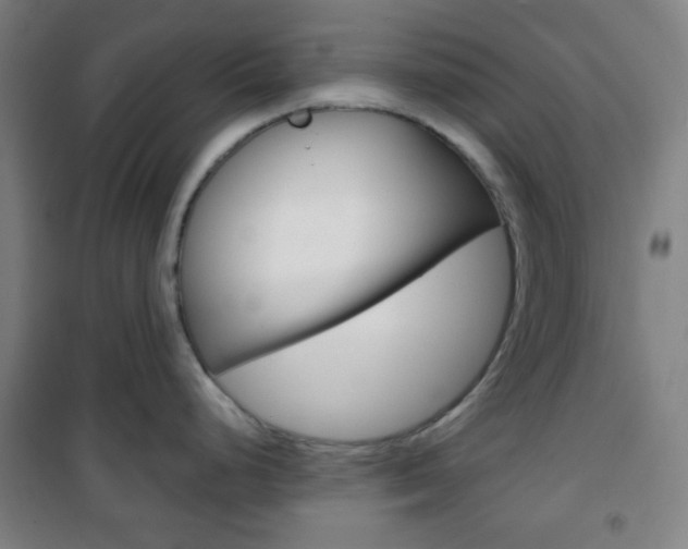 X0000101701248200807101338