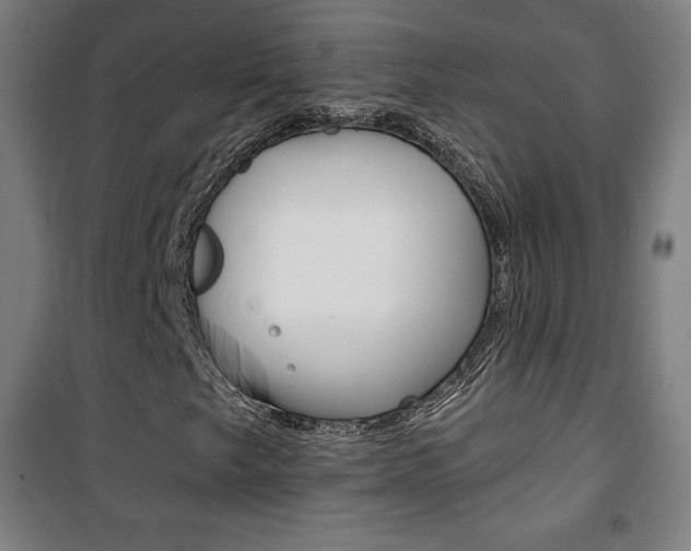X0000101701249200807101337