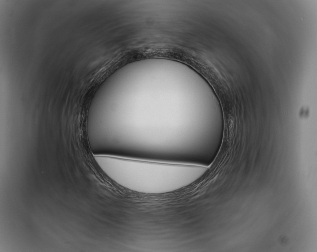 X0000101701250200807101337