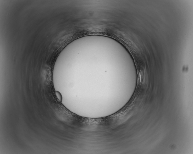 X0000101701251200807101337