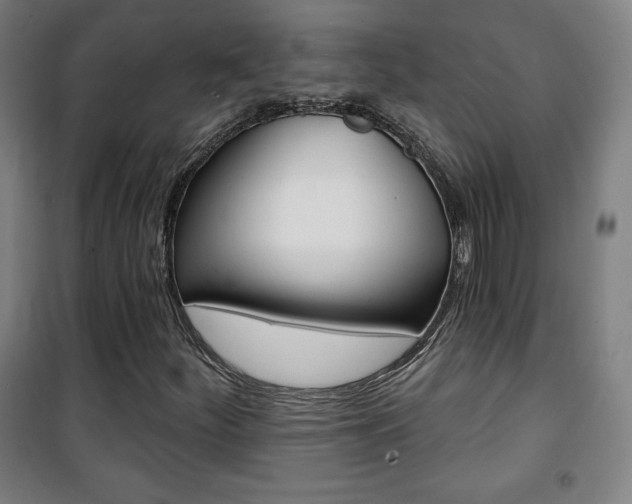 X0000101701252200807101337