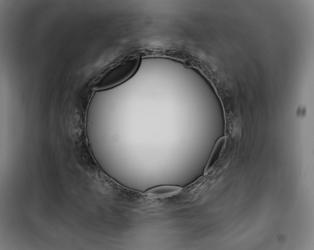 X0000101701253200807101337