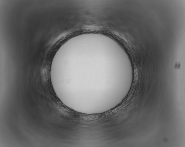 X0000101701254200807101337