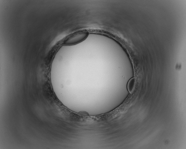 X0000101701255200807101337