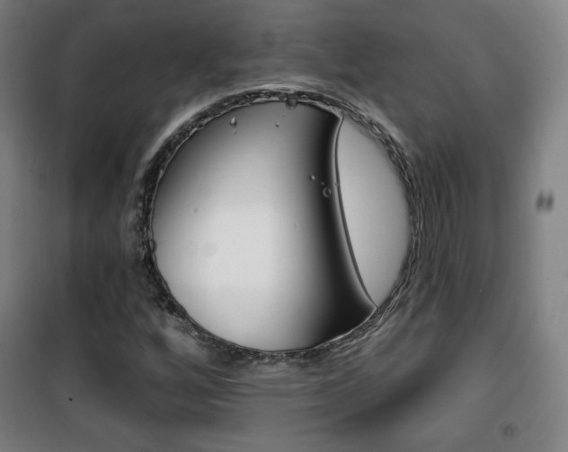 X0000101701256200807101337