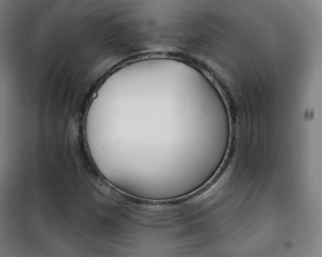 X0000101701257200807101337