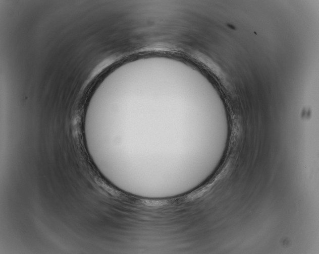 X0000101701258200807101337