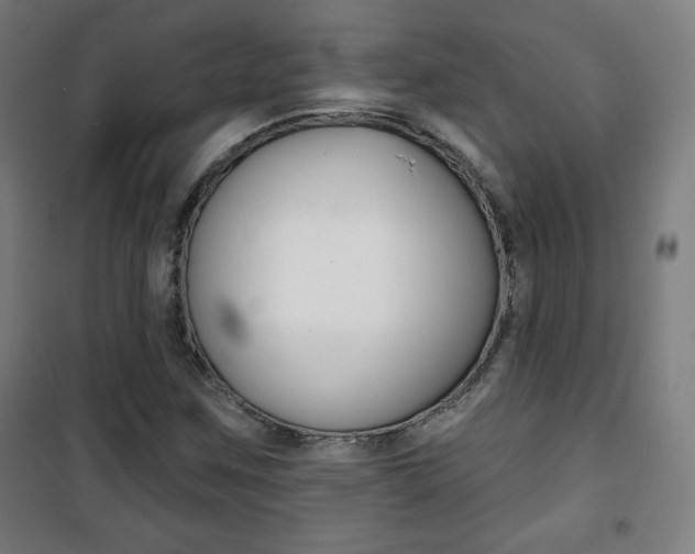 X0000101701259200807101337