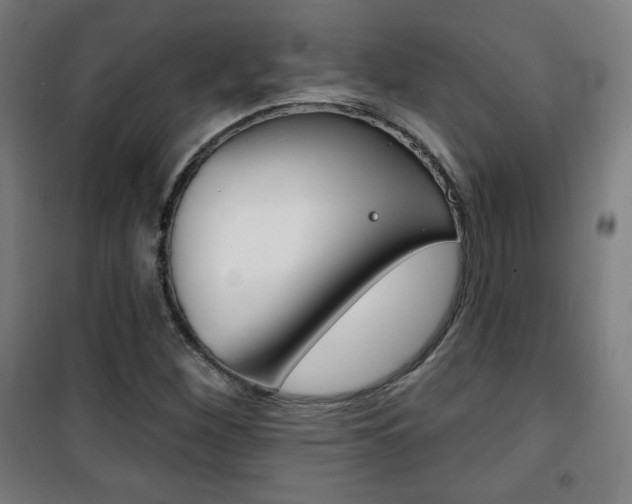 X0000101701260200807101337