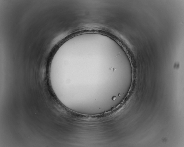 X0000101701261200807101337