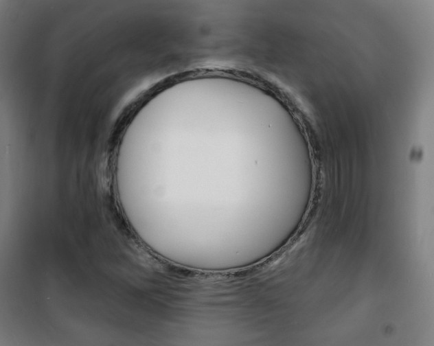 X0000101701262200807101337