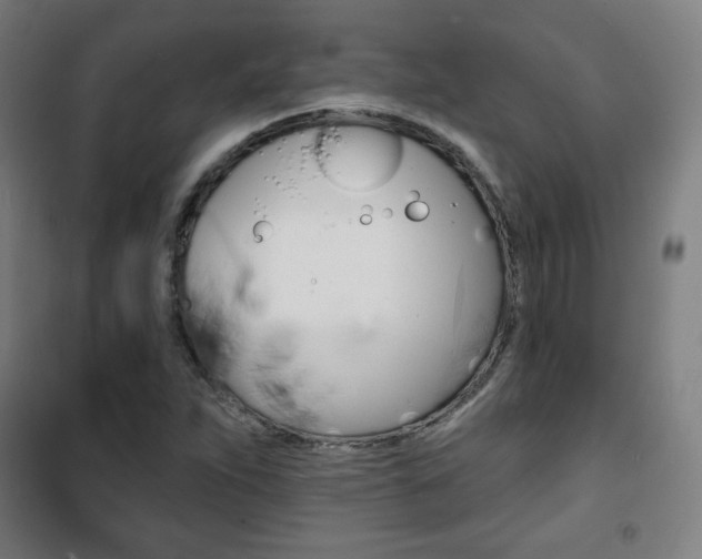 X0000101701263200807101337