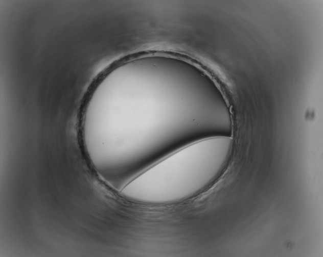 X0000101701264200807101337