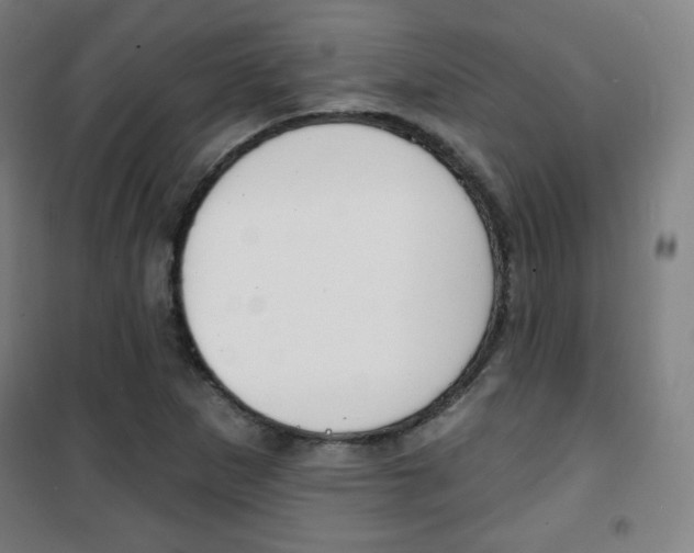X0000101701265200807101337
