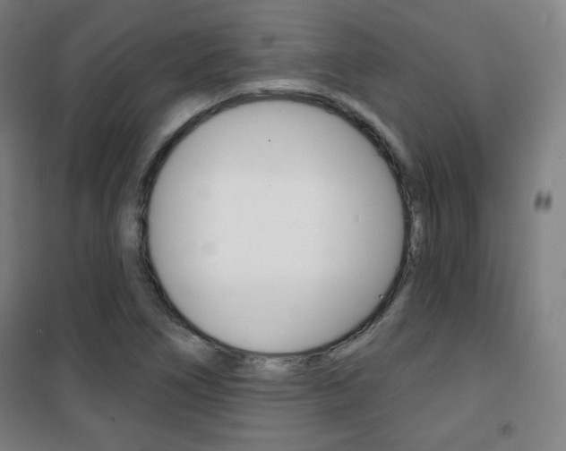 X0000101701266200807101337