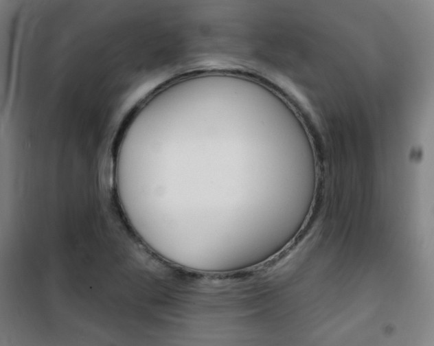 X0000101701269200807101337