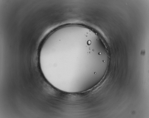 X0000101701270200807101337
