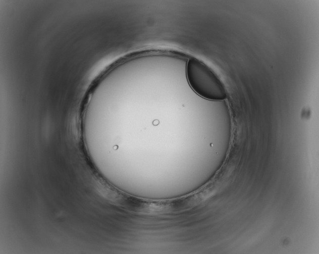 X0000101701271200807101337