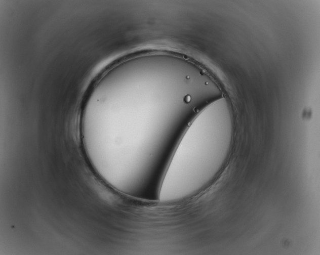 X0000101701272200807101337