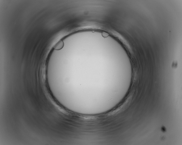 X0000101701274200807101337