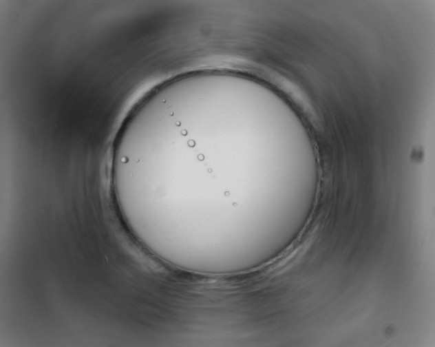 X0000101701275200807101337