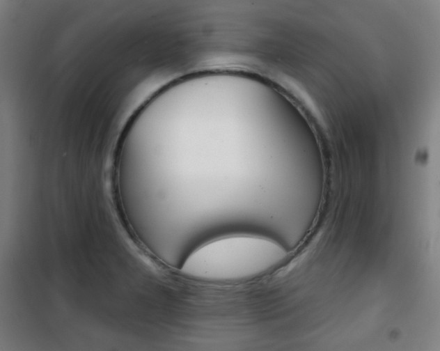X0000101701277200807101337