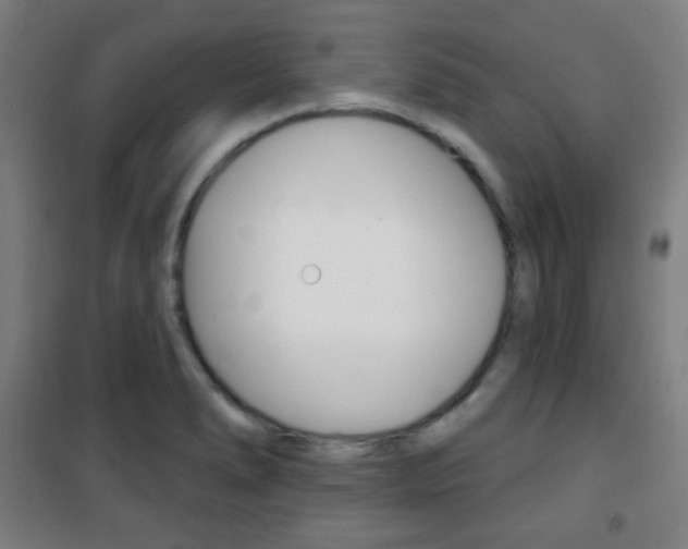 X0000101701278200807101337