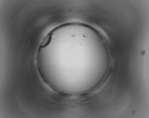 X0000101701279200807101337