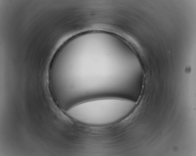 X0000101701280200807101337