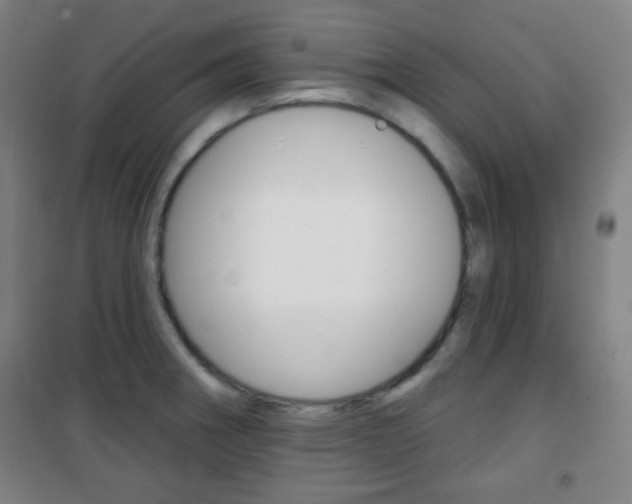 X0000101701282200807101337