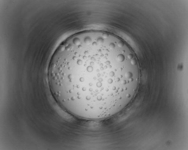 X0000101701283200807101337