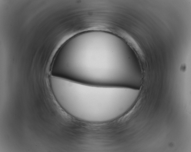 X0000101701284200807101337