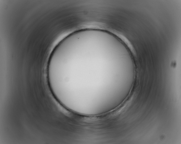 X0000101701285200807101337
