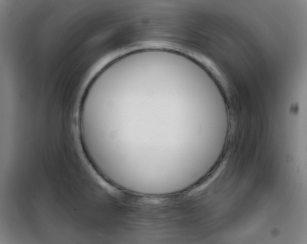 X0000101701286200807101337