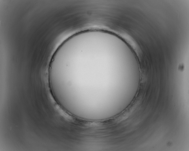 X0000101701287200807101337