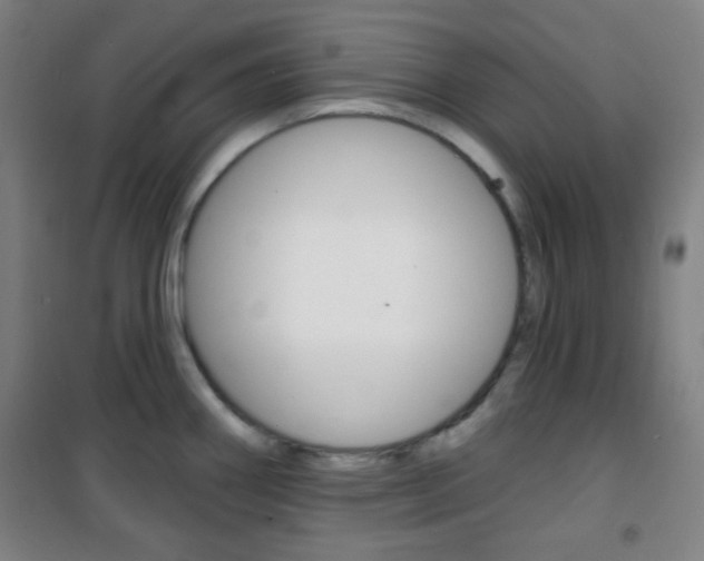 X0000101701290200807101337