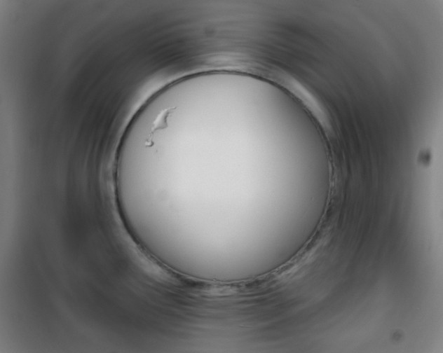 X0000101701291200807101337