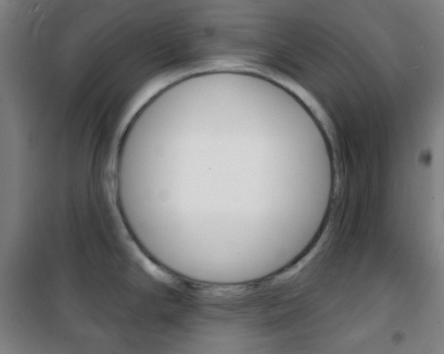X0000101701294200807101337