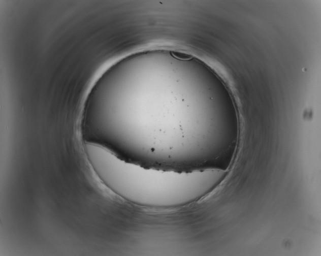 X0000101701296200807101337