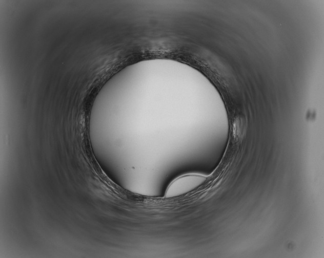 X0000101701299200807101336