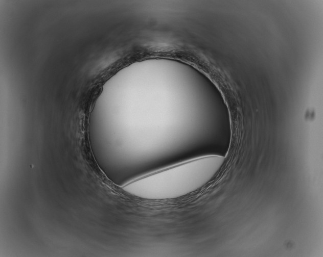 X0000101701301200807101336