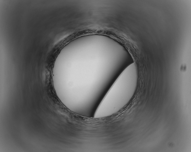 X0000101701302200807101336