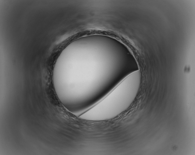 X0000101701303200807101336