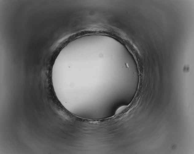 X0000101701304200807101336