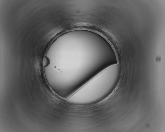 X0000101701305200807101336