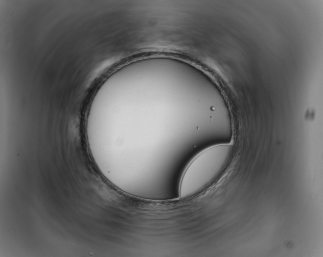 X0000101701307200807101336