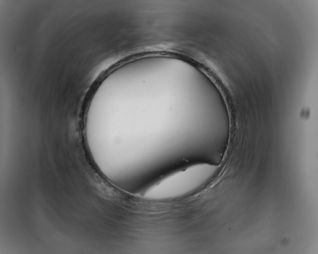 X0000101701308200807101336